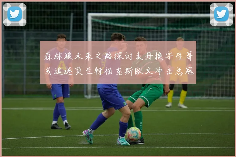 森林狼未来之路探讨麦丹换字母哥或追逐莫兰特福克斯欧文冲击总冠军